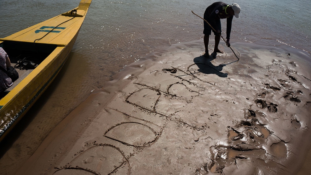 endangered river dolphins