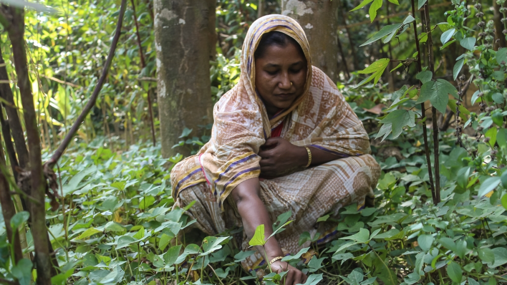 [Malavika Vyawahare/Al Jazeera]