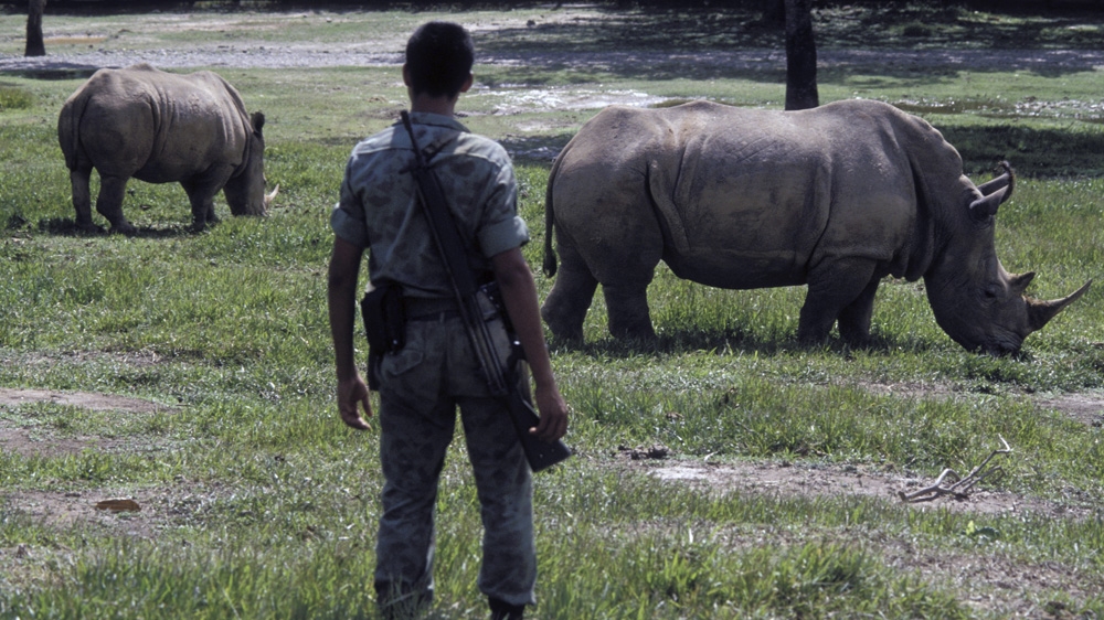 The Colombian military in the Hacienda Napoles, a sumptuous estate belonging to the Medellin cartel leader Escobar [File: Getty Images] 