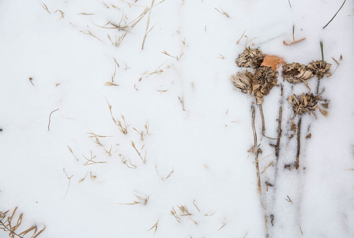Temperatures reach far below zero during the heavy winter months in eastern Ukraine, leaving the conflict affected population vulnerable to the cold as they try to survive in partly damaged houses and
