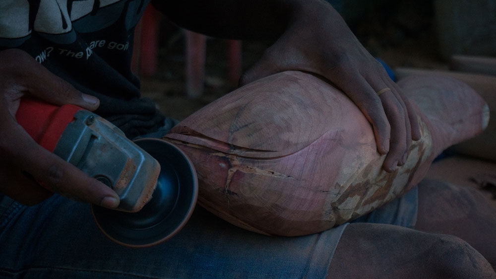 Banned fishing techniques using electricity or explosives can kill dolphins directly [Nathan Thompson/Al Jazeera]