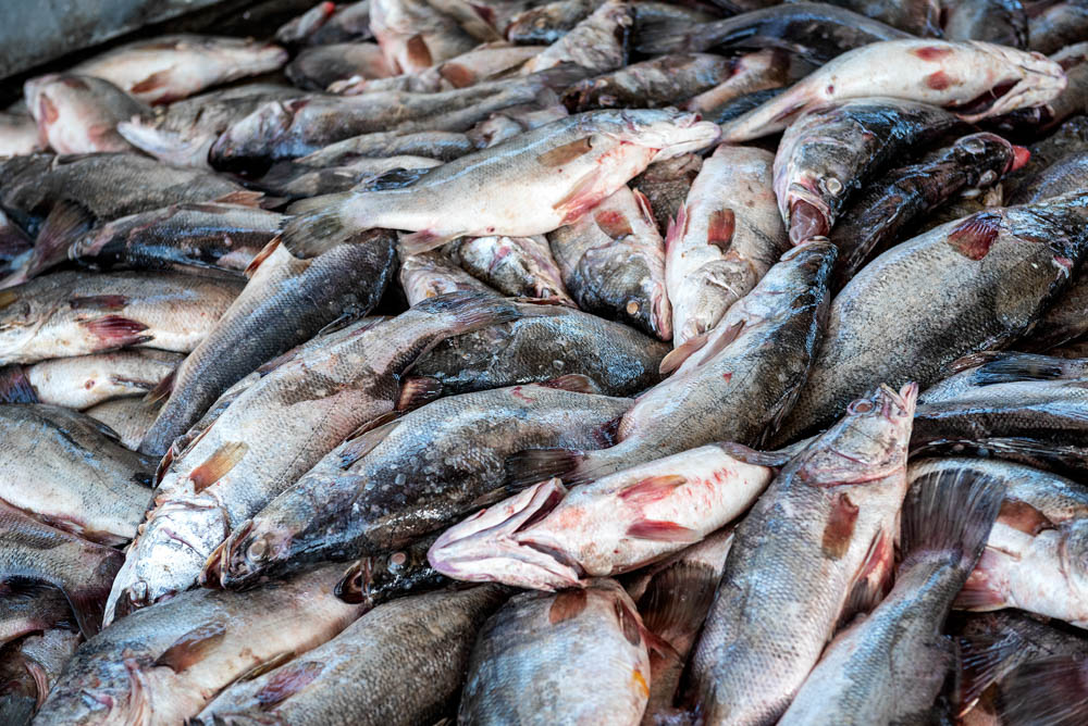 Migingo Island – “Africa’s smallest war”