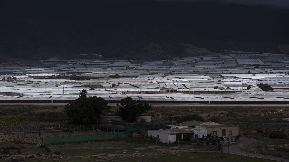 El Ejido is home to the single largest concentration of greenhouses in the world and is one of Spain's major economic hubs [Guillem Trius/Al Jazeera]