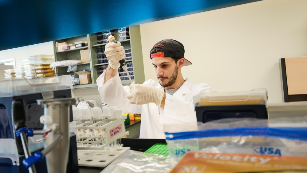 Researchers were able to disrupt the Ir8a gene, making female mosquitoes significantly less interested in humans [Florida International University/Flickr]