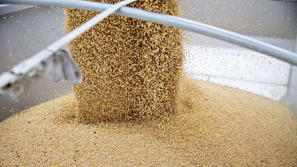 china soybeans bloomberg
