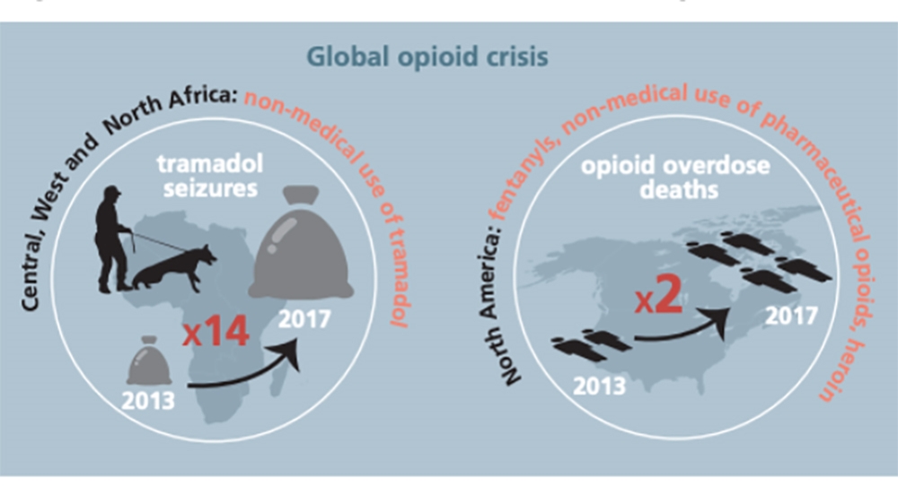 Graphics World Drug Report 2019 [Courtesy: United Nations Office on Drugs and Crime]