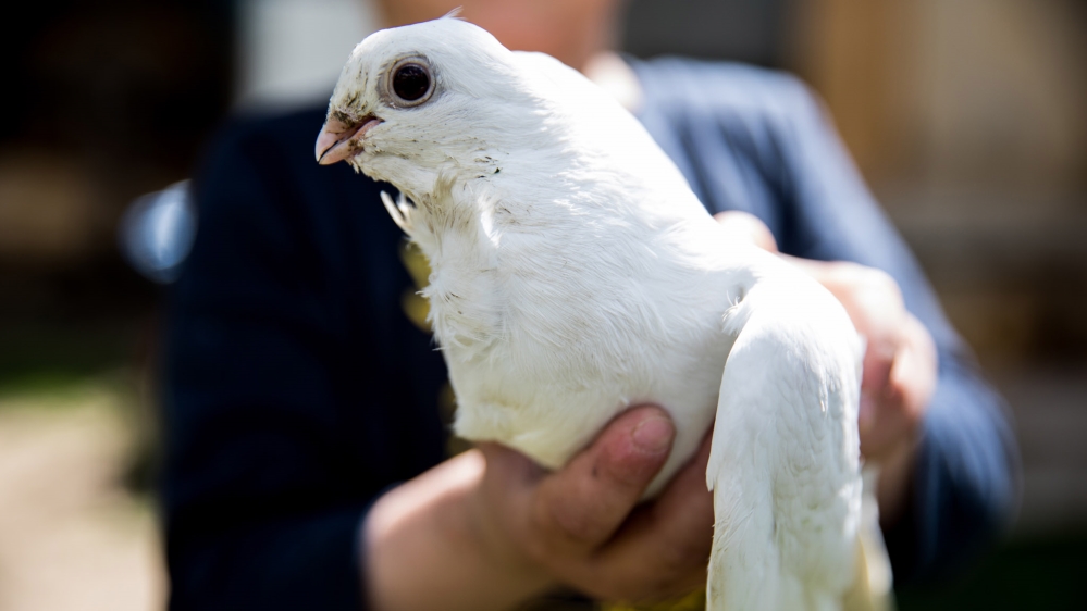  ISIL returnees in Kosovo 