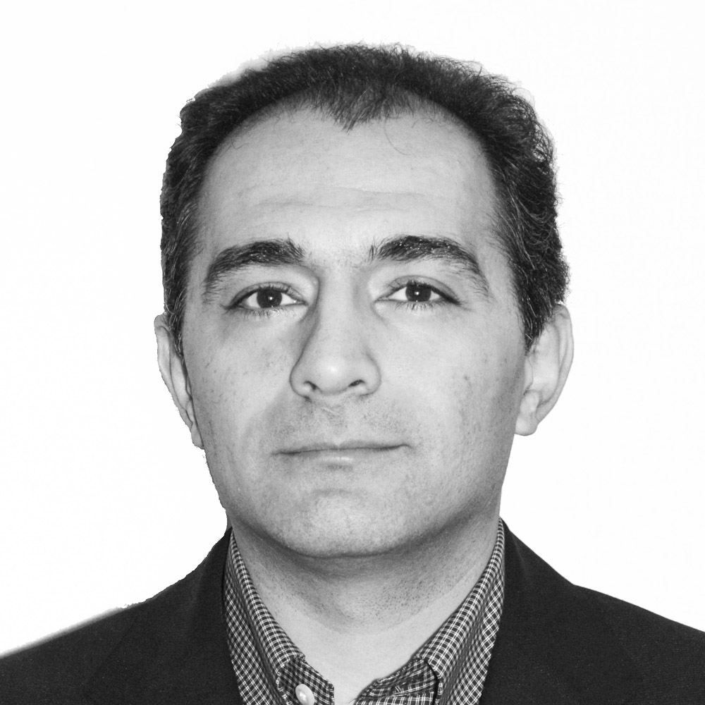 Nader Hashemi