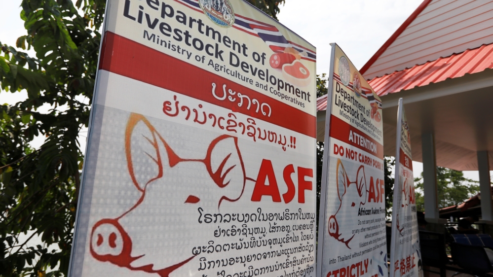 Public health banners alerting about swine fever is seen in Chiang Rai, Thai side of the Golden Triangle, triple border between Thailand, Myanmar and Laos separated by Mekong river