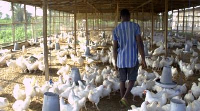 Climate change and farming in Nigeria 1