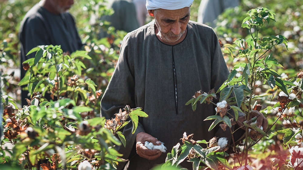 Sholeen 1/Farmer in field