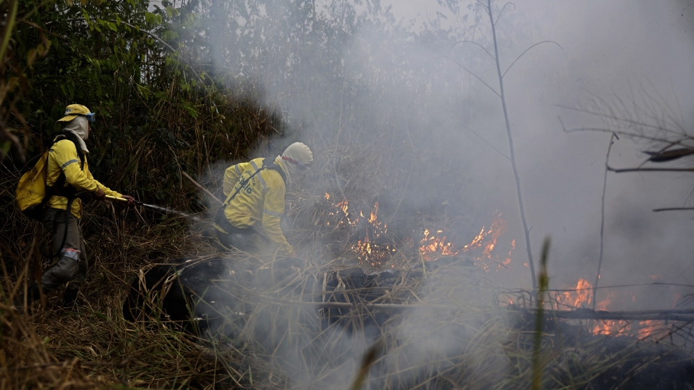 Brazil fires