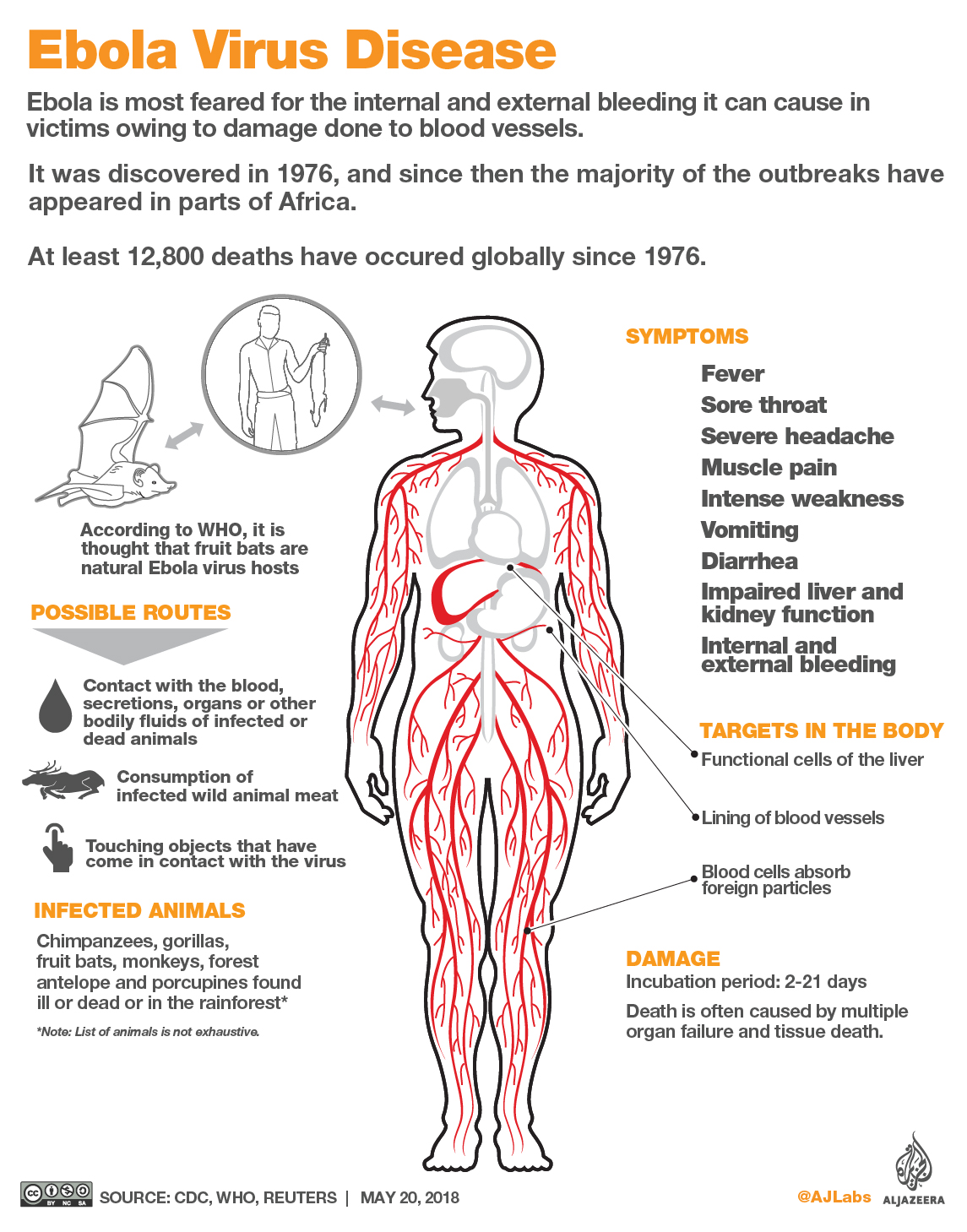 Ebola infographic