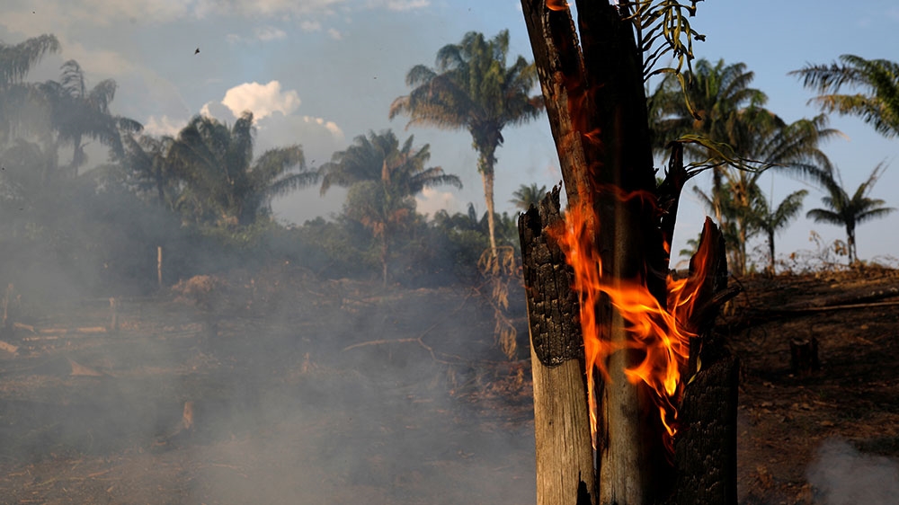A tract of Amazon jungle is seen burning as it is being cleared by loggers and farmers in Iranduba, Amazonas state, Brazil