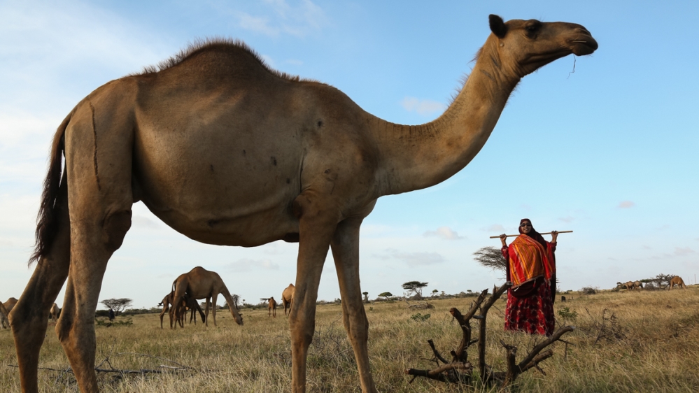 Somalia camel trader - Zamzam Yusuf Olad