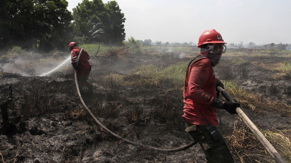 Indonesia forest fires