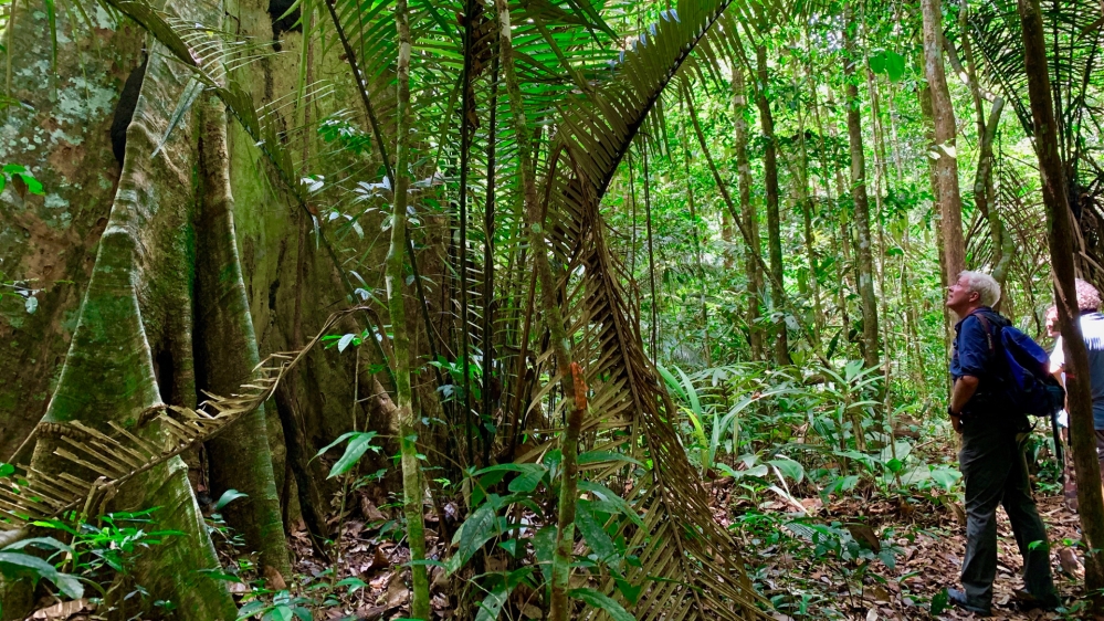 Nick Clark - French Guiana - Planet SOS