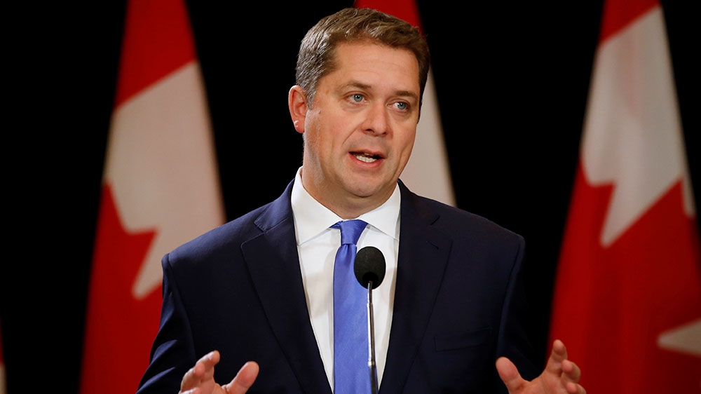 Scheer