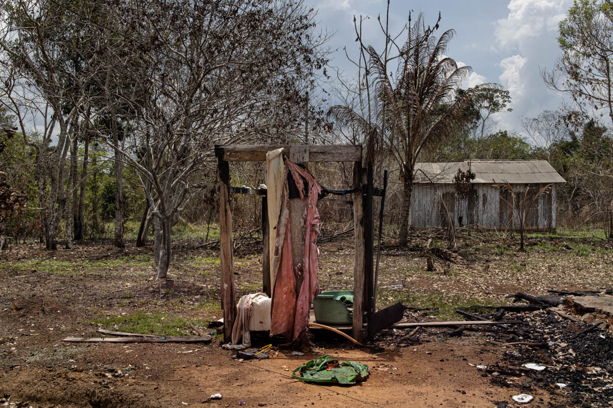 The Brazilian Amazon Rainforest