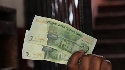 New Zimbabwean Dollar