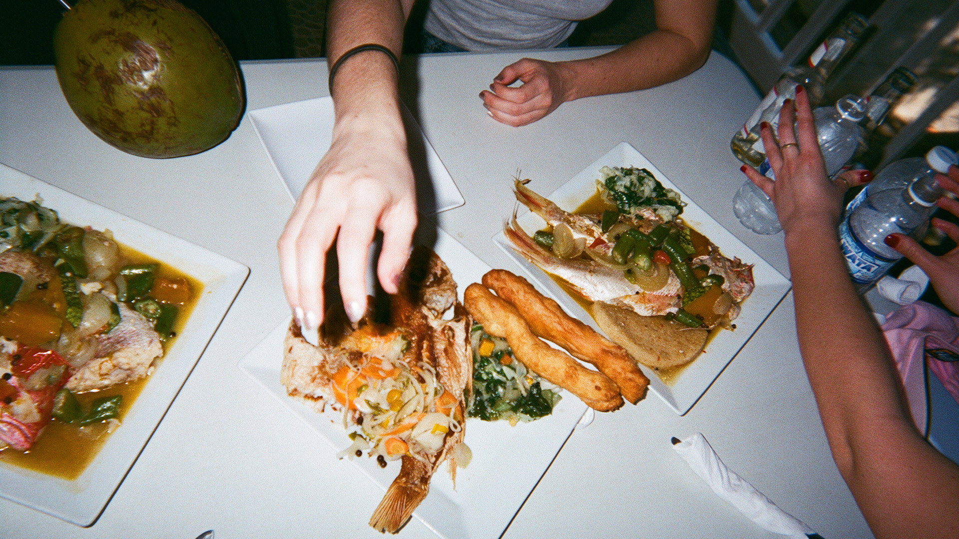 Fork The System - Ackee and Saltfish - by Summer Eldemire [DON'T USE]