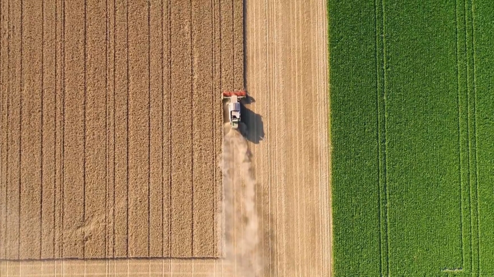 Planet SOS - land - why are we destroying out land?