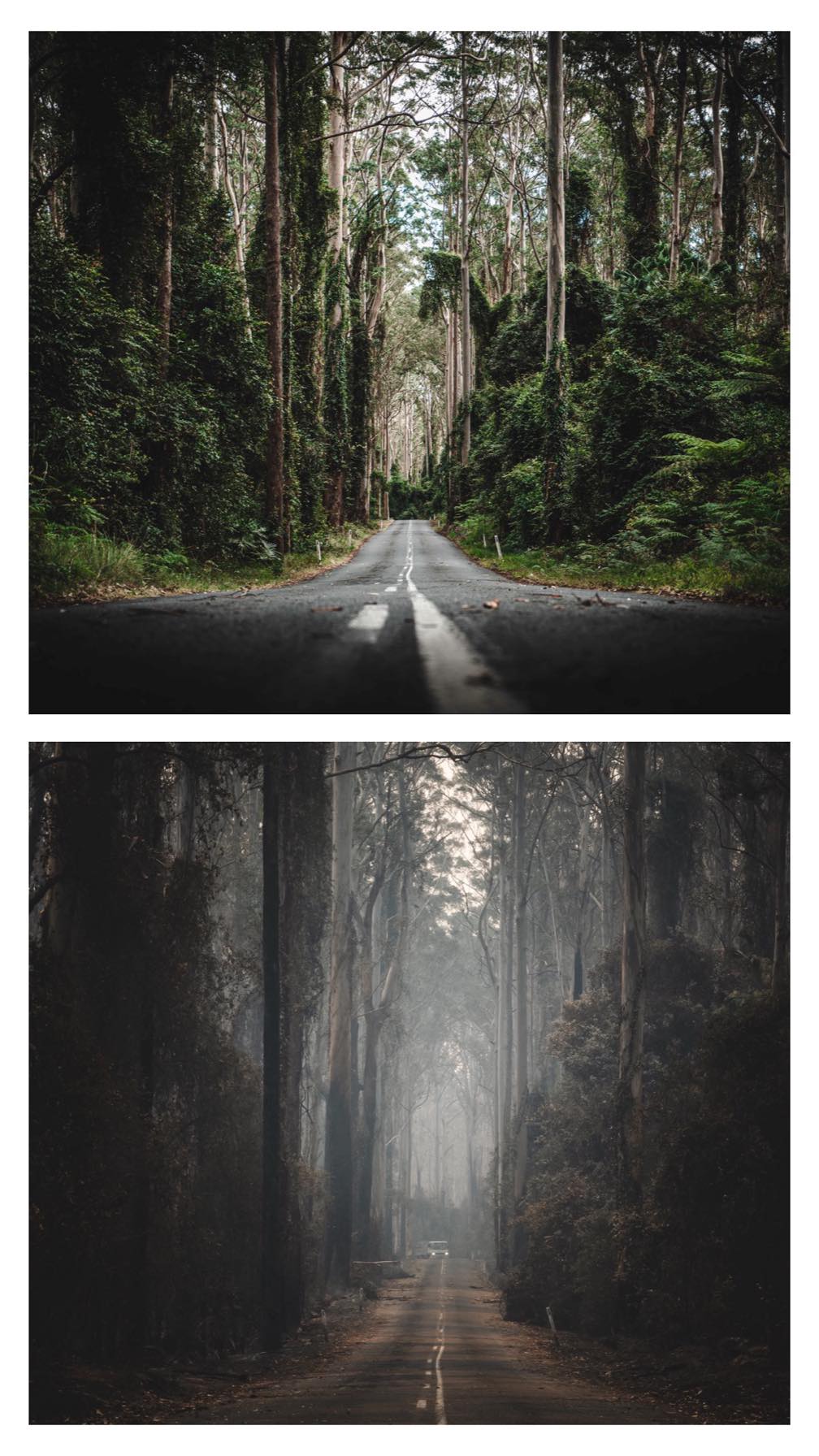 Australian mega fire [Courtesy: Josh Burkinshaw]