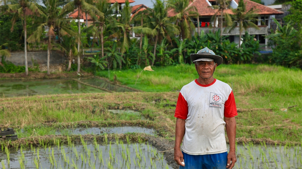 Indonesia Bali Canggu