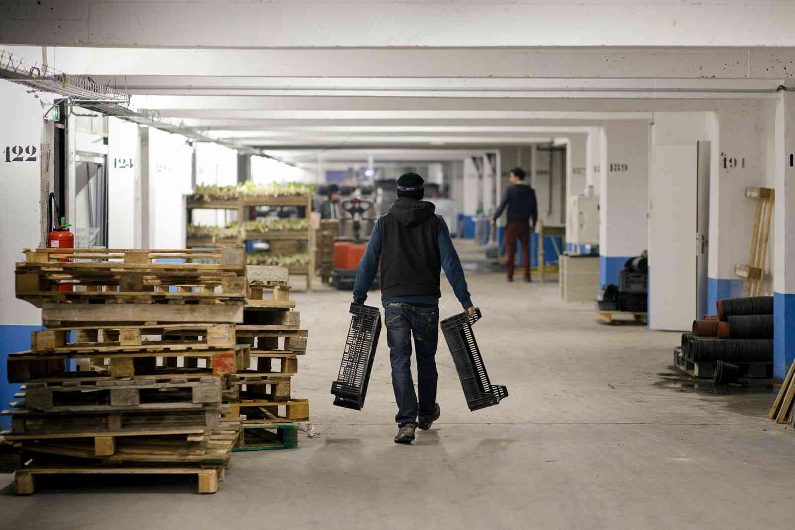 Paris urban agri - part 2 - various