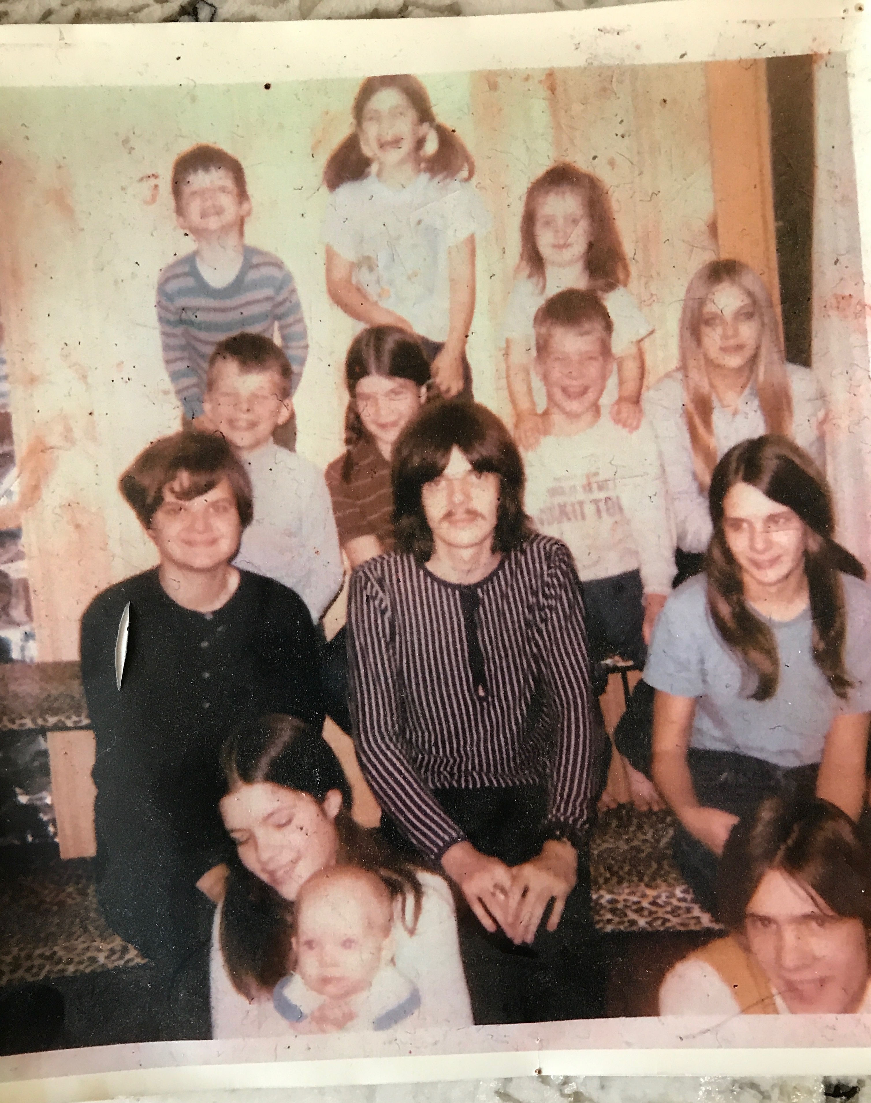 Pie peace - Amy Doyle - DO NOT USE