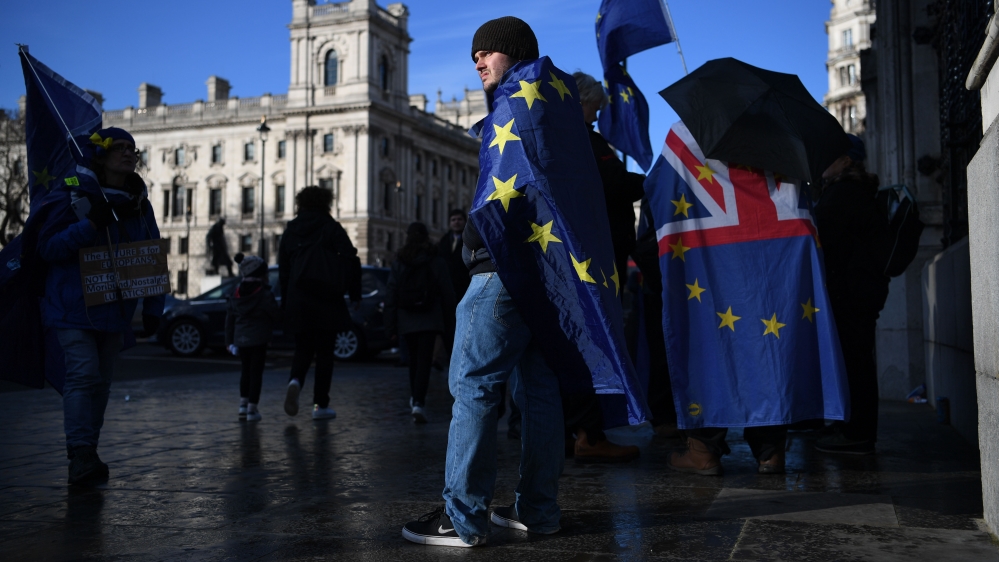 anti-brexit campaigner