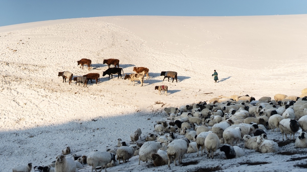 Mongolia coal / Klas Lundstrom