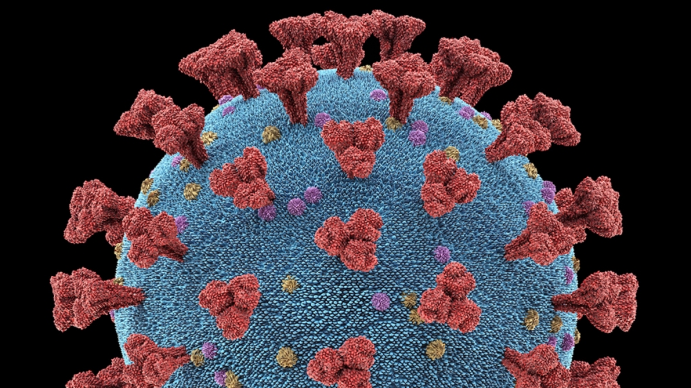 Coronavirus particle illustration