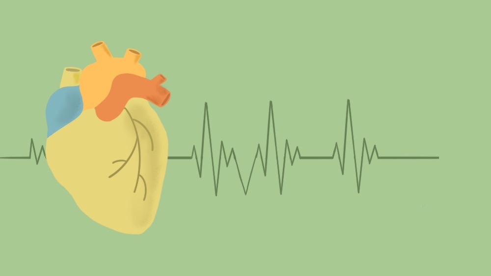 Trichster - Illustrations - DO NOT USE