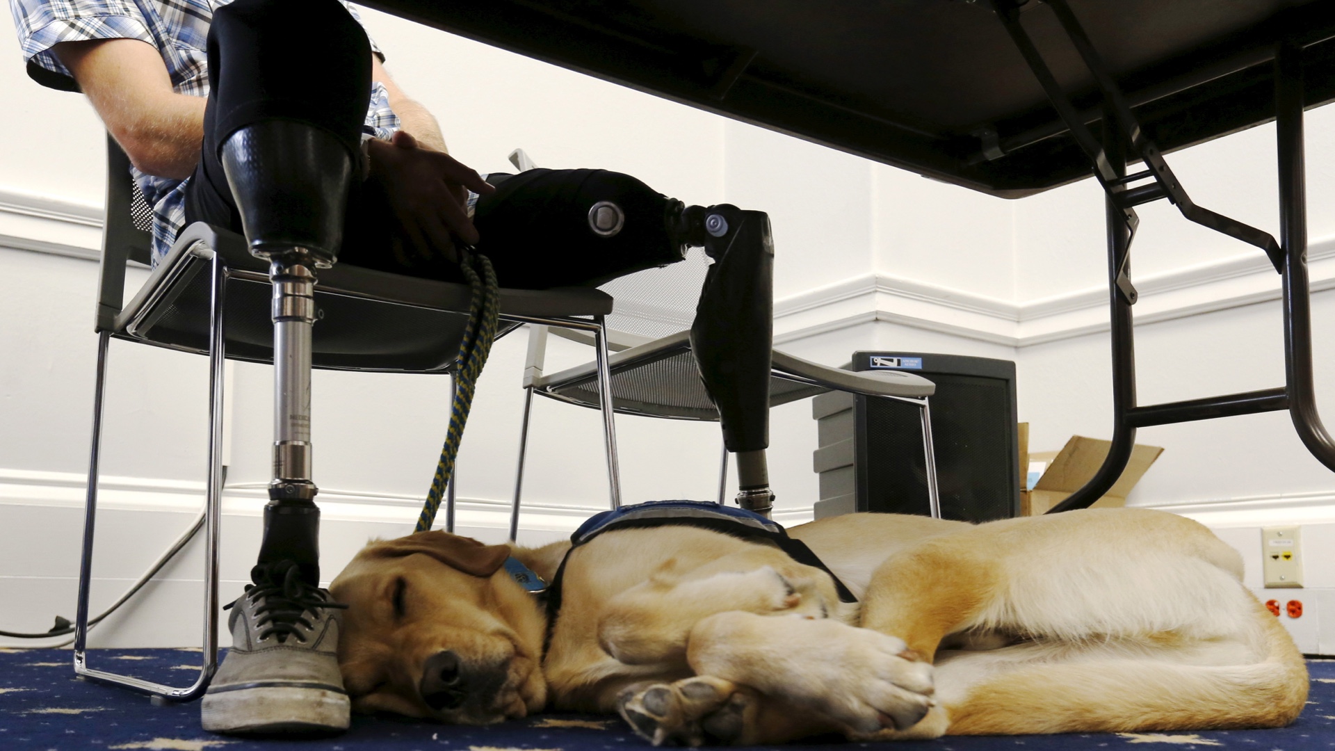 Brooke Knisley feature