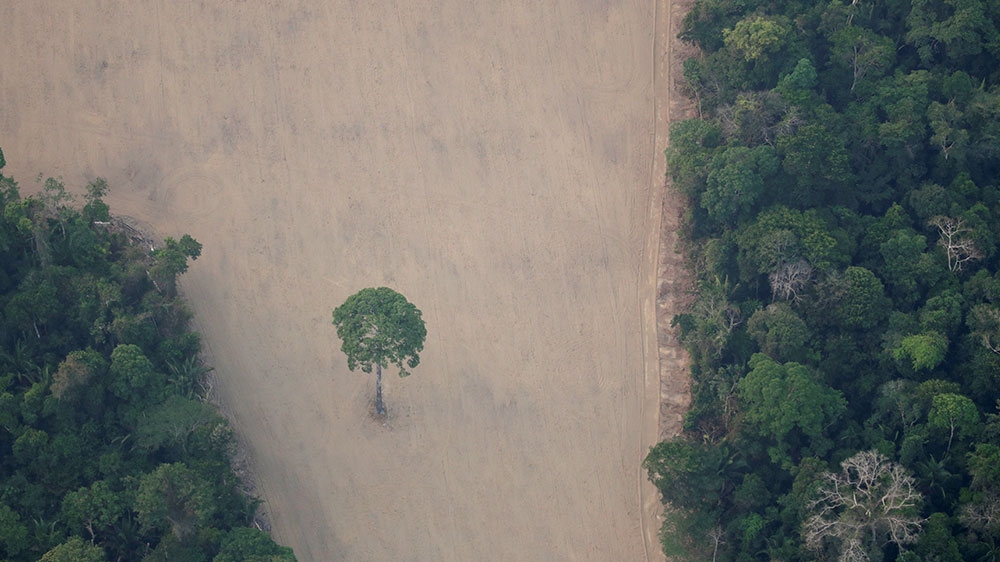 Indigenous in Brazil 