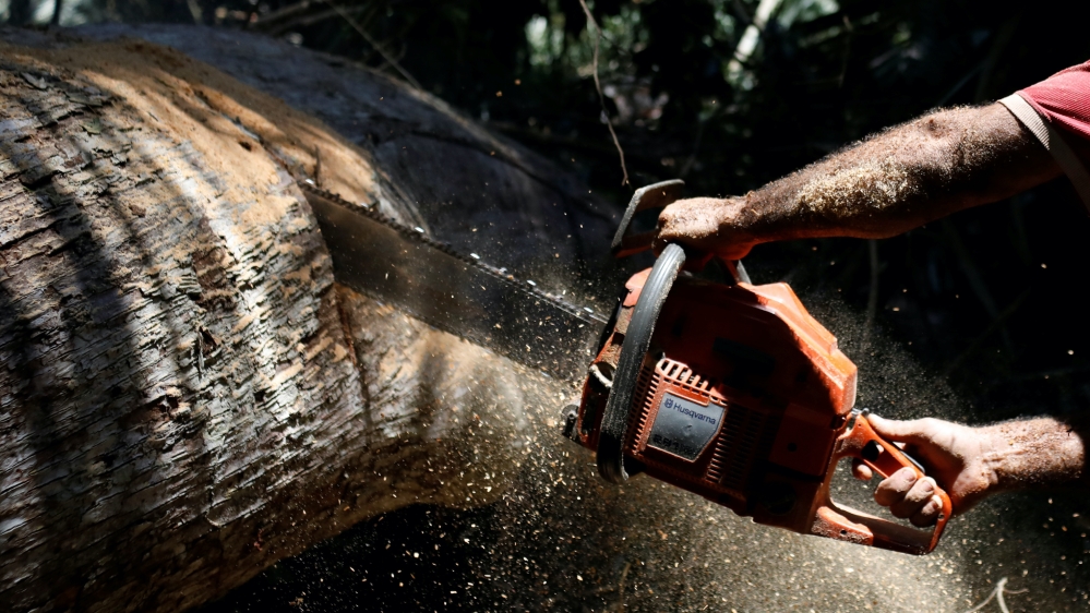Deforestation in Brazil