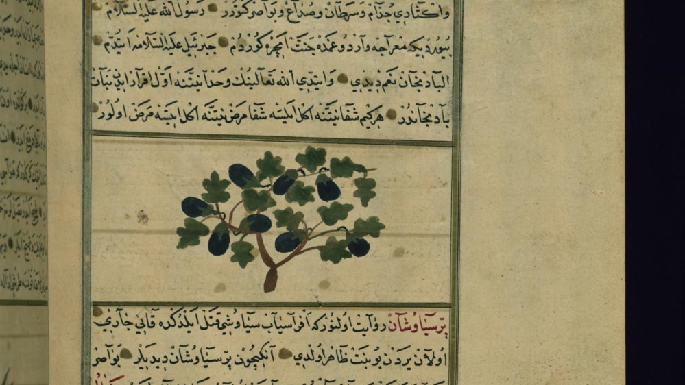 Medieval Arabic Cookbooks / Marcia Lynx Qualey