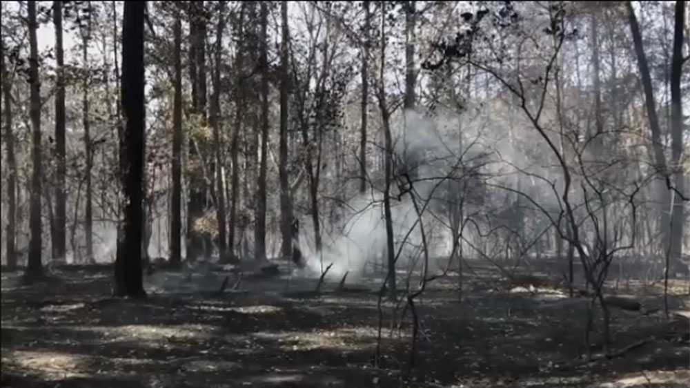 Hundreds evacuated as wildfires rage in the United States