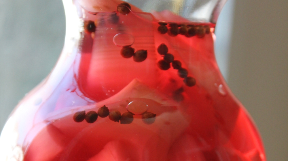 Medieval Arabic Cookbooks / Marcia Lynx Qualey