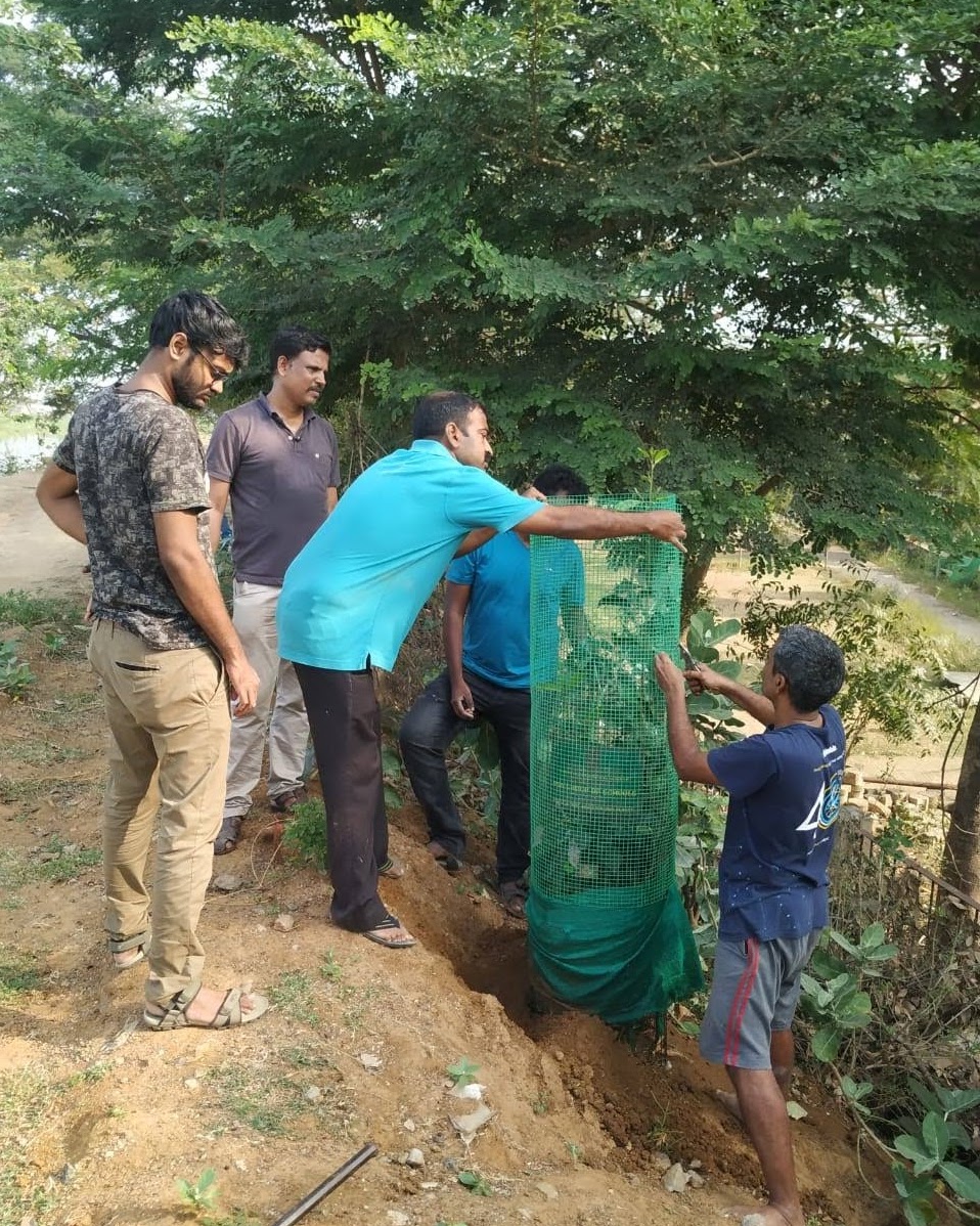 Tree walks in Chennai