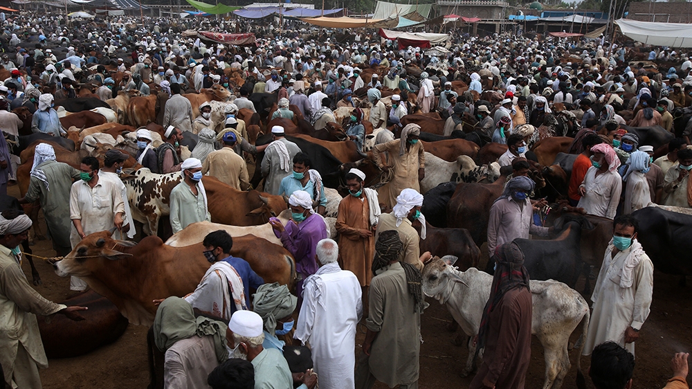People wear protective masks to prevent the spread of coronavirus at a cattle market set up for Eid al-Adha in Peshawar, Pakistan