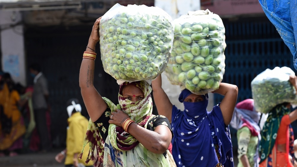 India - Health- Virus