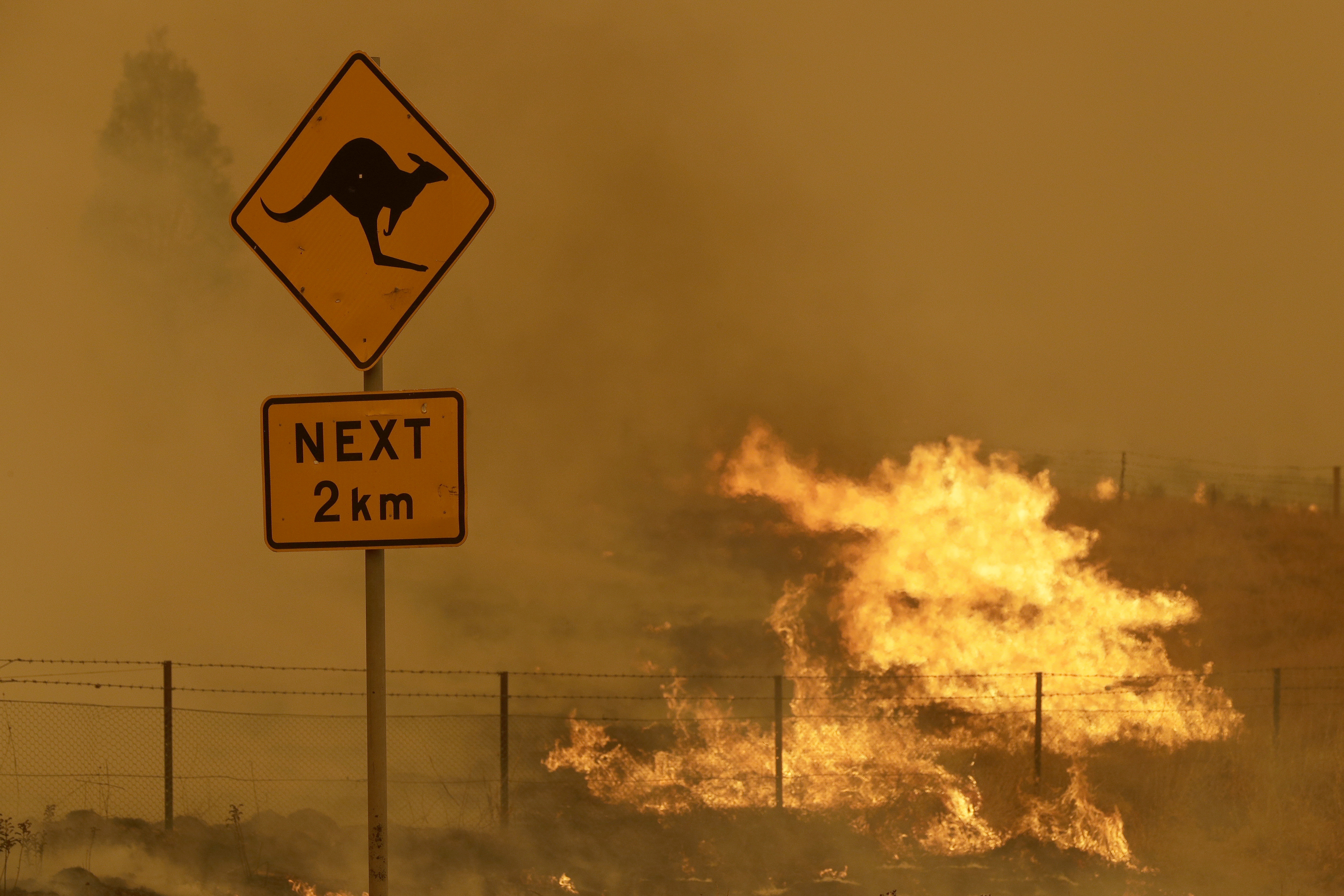Fire burns in the grass near Bumbalong, south of the Australian capital, Canberra, Feb. 1, 2020 [AP Photo/Rick Rycroft]