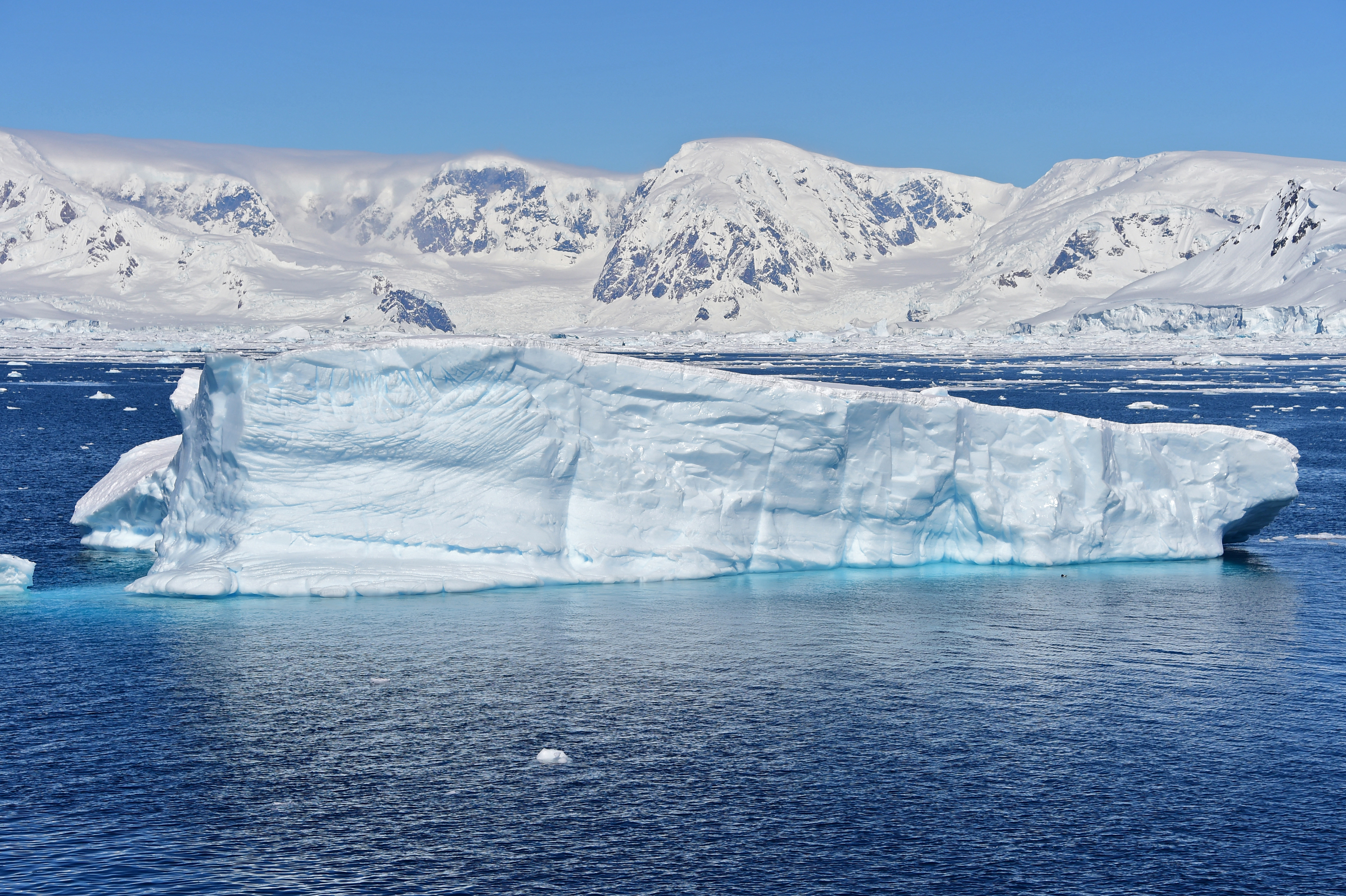 View of a glacier at Chiriguano Bay in South Shetland Islands, Antarctica on November 07, 2019. (Photo by Johan ORDONEZ / AFP)