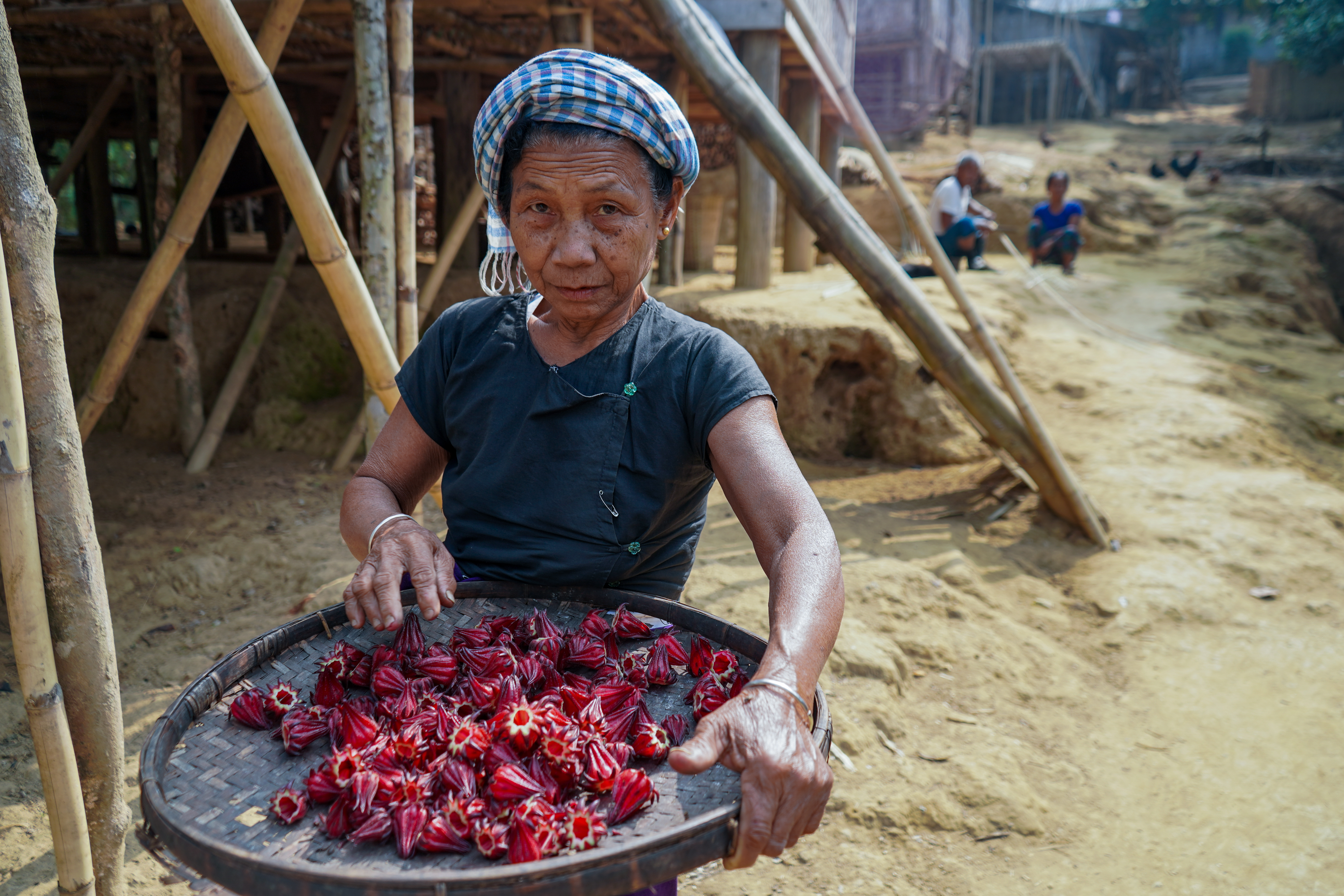 "The water sources and forest where hill tribal people usually establish their settlements remain dry now even in the monsoon. We are forced to sell fruits gathered from the forest as agricultural cultivation is unavailable," said Macharu Marma, who lives in Lulain village. [Sulayman Hossain/Al Jazeera]