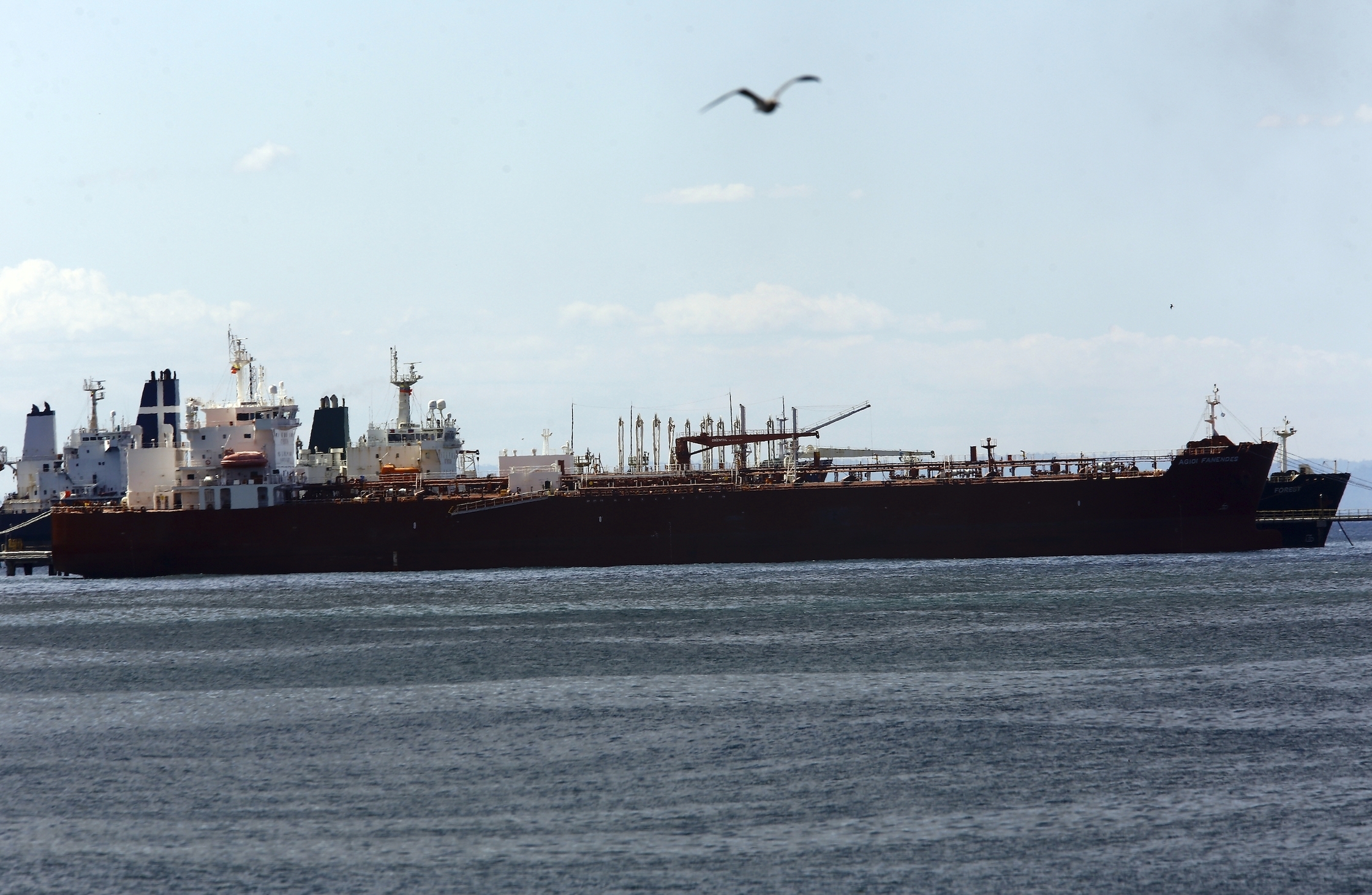 The Iranian oil tanker Forest was the first of three Iranian ships to arrive in Venezuela, is part of the second shipment of fuel from Tehran