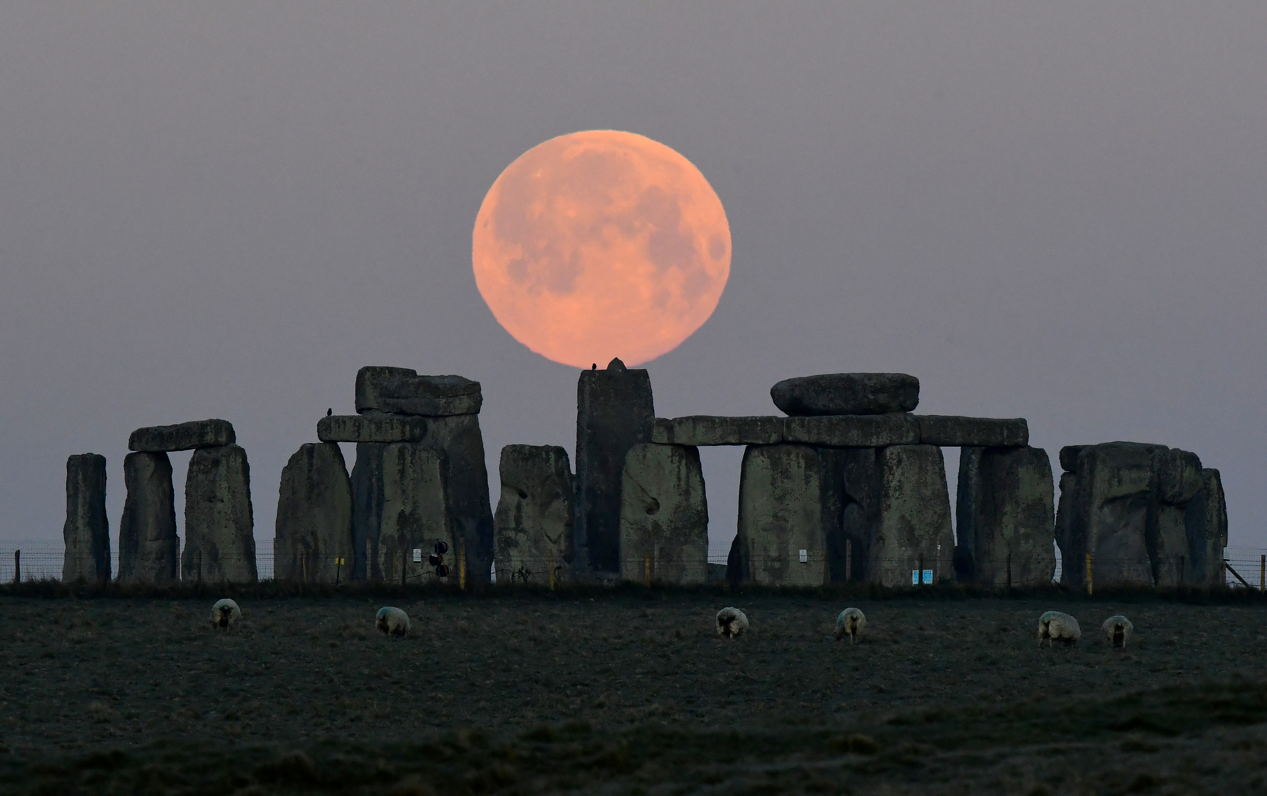 SUPERMOON-SIGHTING