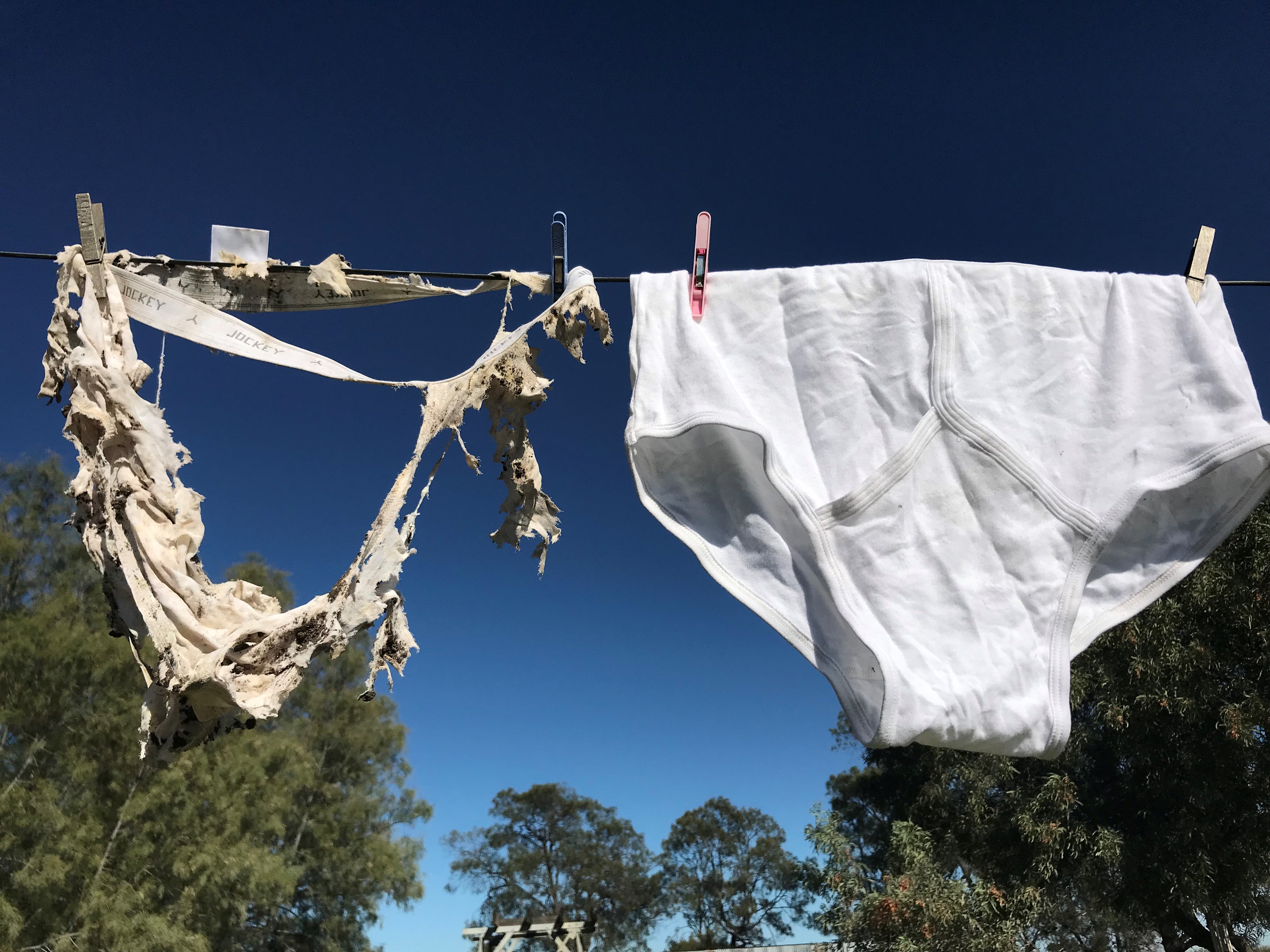A pair of 'soiled undies' before and after being buried in the ground [Courtesy of Oliver Knox]