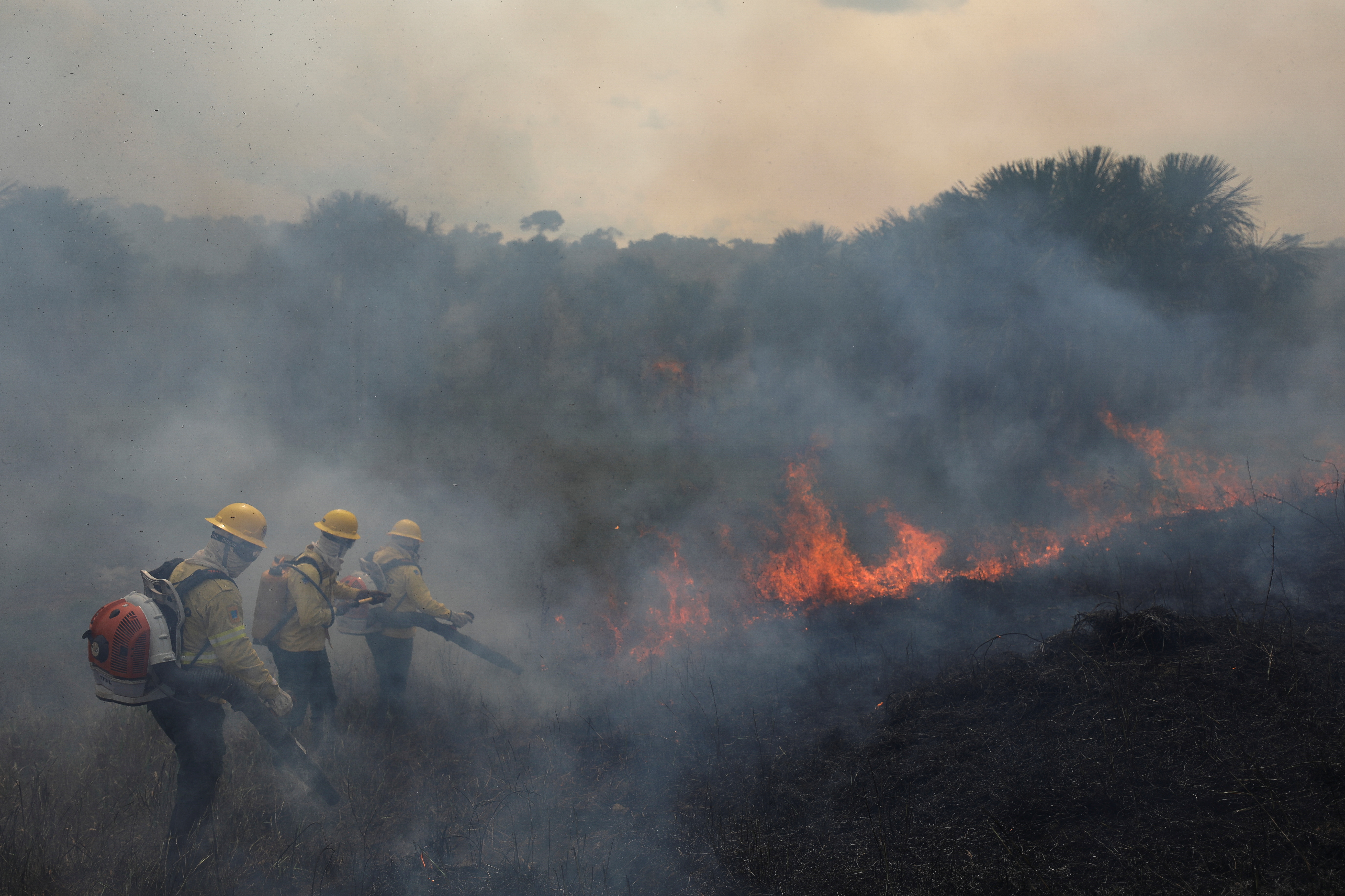 While the Leticia Pact created a protocol on forest fires management in the Amazon, there are few other signs of tangible progress to protect the world's largest rainforest, despite the fanfare and renewed commitments, environmentalists say [File: Bruno Kelly/Reuters]